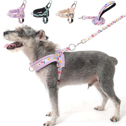 No Pull Small Dog Harness and Leash Set (Purple_Velvet / M: Chest 21"-26.7")