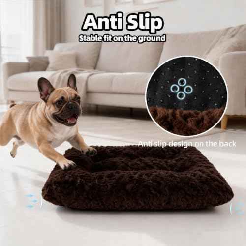 Dog Bed Medium Size (Coffee / 29"L x 21"W x 3"Th)