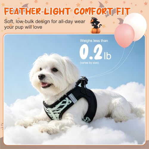 Halloween Dog Harness Medium Sized and Leash Set (Small(Chest Girth 14.5" - 16") / Halloween Black)