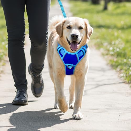 Dog Harness for Medium Sized Dog No Pull Dog Vest ID Tag Pocket (Sapphire Blue & Blue / Medium)