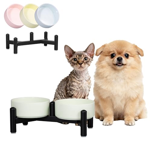 Elevated Ceramic Dog Bowl Set (Green / 1.4 Cups)