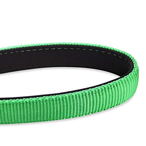 Short Dog Leash 24" (Lime Green / 24 Inches)