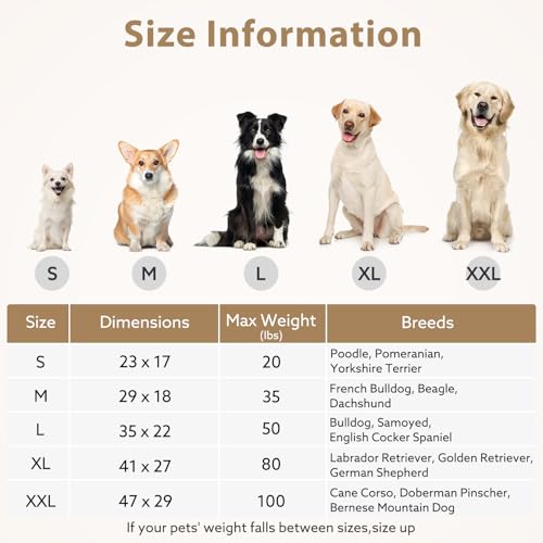 XL Dog Beds Large Sized Dog (XL(41"x27") / Light Grey)