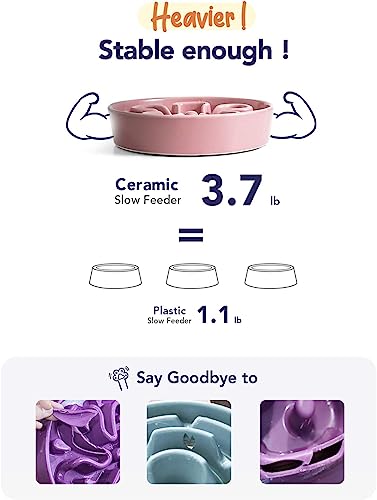 Slow Feeder Dog Bowls Ceramic (Pink+Green(2 Pieces) / L-3 Cups)