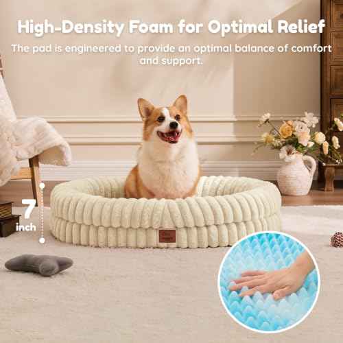 Orthopedic Dog Bed (Sandy Beige / L(35*28*7))