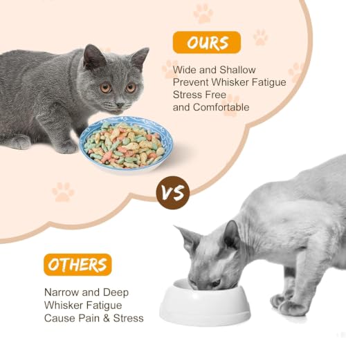 Ceramic Cat Dishes for Food (Colorful 1)