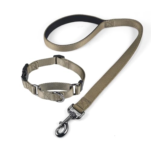 Nylon 24 Inches Dog Short Leash with Anti (24" Leash and Martingale Collar Combo / Military Green)