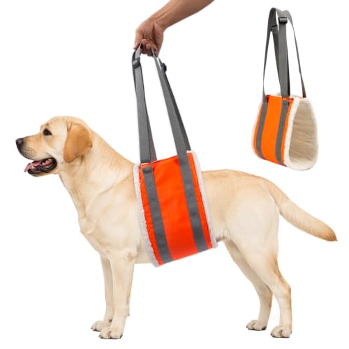20 150lb Dog Sling for Large Dogs Hind Leg Support (Orange)