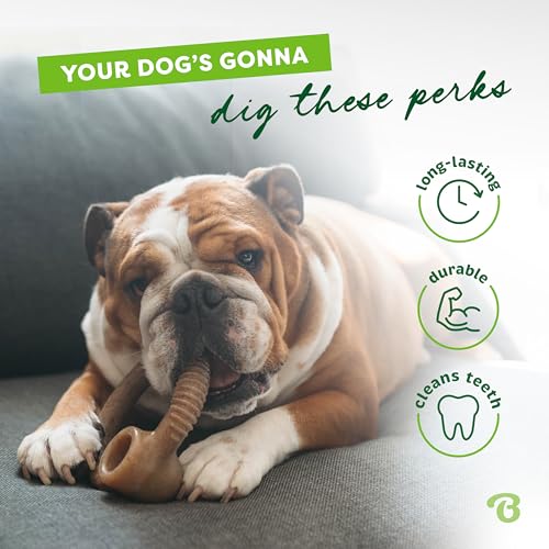 Ring Dog Chew Toy for Aggressive Chewers (REAL Bacon / Medium)