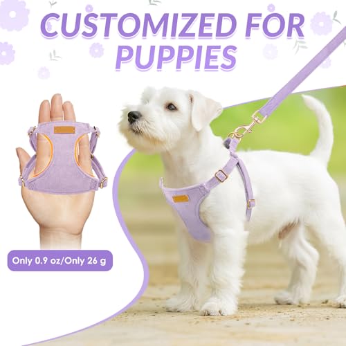 No Pull Dog Harness with Leash for Small Medium Dogs (XX-Small(2.2-6lb) / Solid Purple)