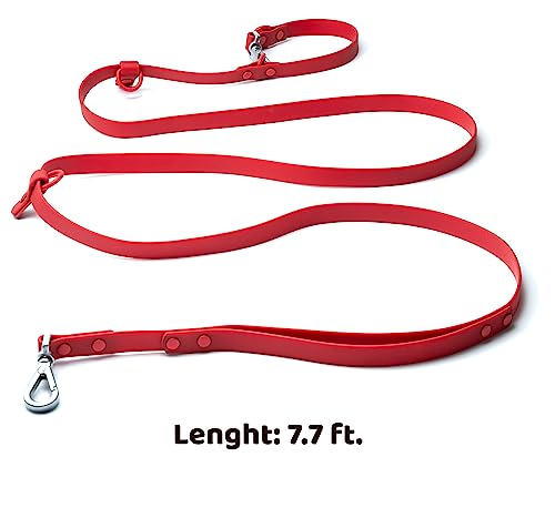 Heavy Duty Hands Free Dog Leash for Medium to Large Dogs for Comfortable Running (Red)