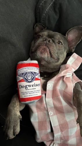 Squeaky Beer Dog Toys with a Fridge (Beer)