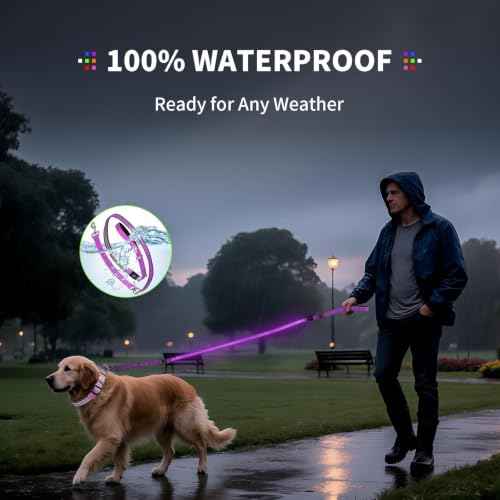 LED Dog Leash (Purple / 6 feet)