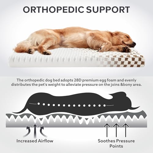 Dog Bed for Large Dogs (L (36x27) / Brown)