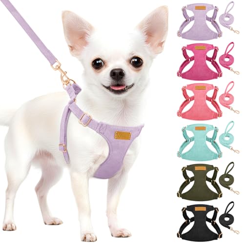 No Pull Dog Harness with Leash for Small Medium Dogs (Small(11-17.5lb) / Solid Purple)
