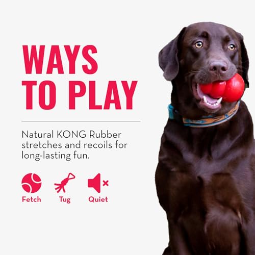 Tug Toy Natural Rubber Dog Toy for Tug of War