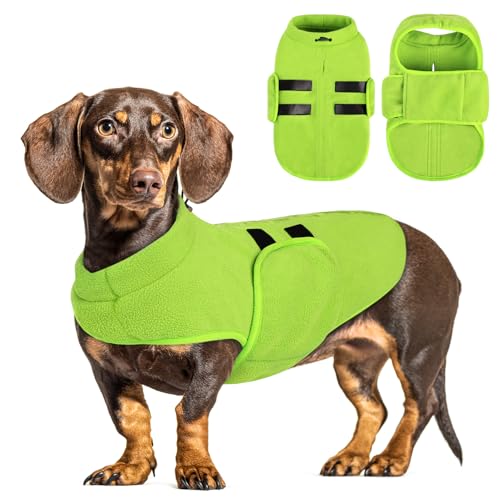 Small Dog Sweater (Green / X-Small)