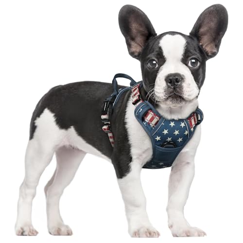 Dog Harness No Pull for Small Dogs with 2 Leash Clips (Small / Blue Star)