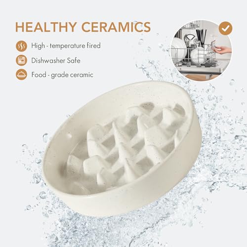 Ceramic Slow Feeder Dog Bowls (1 x Vanilla White - C / XL- 9.5inch / 3.2 Cups)