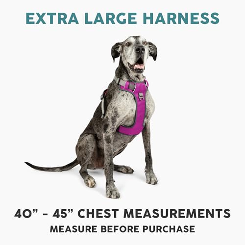 Embark No Pull Dog Harness (XL / Pink)