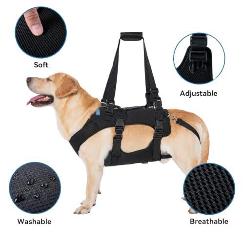Dog Lift Harness (S / Black)