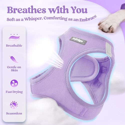 Dog Harness Medium Sized and Leash Set (Light Purple / L (chest: 18.2 - 20.5"))
