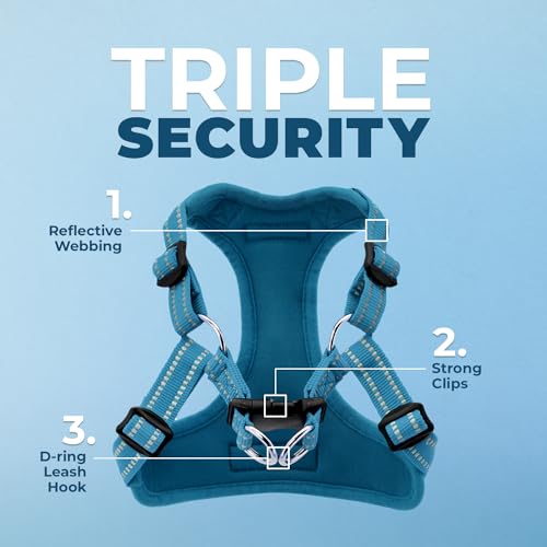 Voyager Step in Flex Adjustable Dog Harness (Harness (Turquoise) / XS)