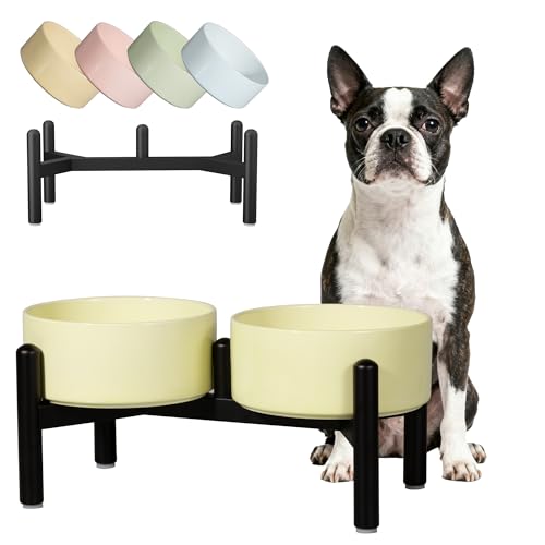 Ceramic Elevated Dog Bowl Set (Yellow / 3.5 Cups)