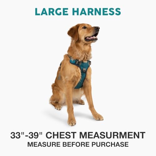 Embark No Pull Dog Harness (L / Blue)