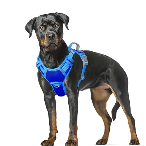 Dog Harness for Large Dogs No Pull Dog Vest ID Tag Pocket (Sapphire Blue & Blue / X-Large)