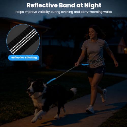 Hands Free Double Dog Leash (Black)