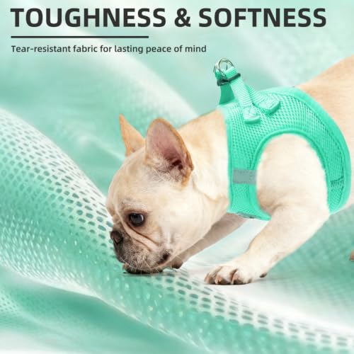 Adjustable Dog Harness Collar and Leash Set Step in No Pull Pet Harness for Small Medium Dogs Puppy and Cats Outdoor Walking Running (Solid Green / XS (CHEST 13"-14.5"))