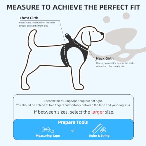 Dog Harness Collar and Leash Set No Pull for Small Medium Sized (Blue / M (CHEST 16"-18"))