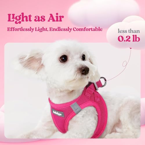 Dog Harness Medium Sized and Leash Set (Rose Red / M (chest: 16 - 18.5"))