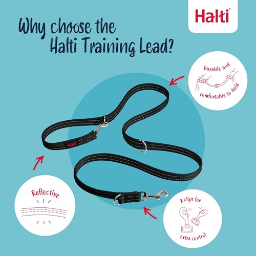 Training Dog Leash (Large / Black)