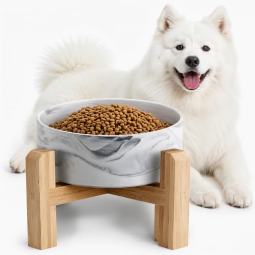 Elevated Raised Ceramic Dog Bowl with Bamboo Stand (Marble Gray / Large)