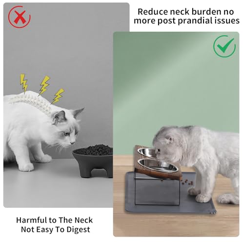 Upgraded Elevated Cat Bowls with Food Mat