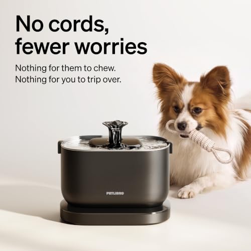 Small Dog Water Fountain (Black / 2.5 L)