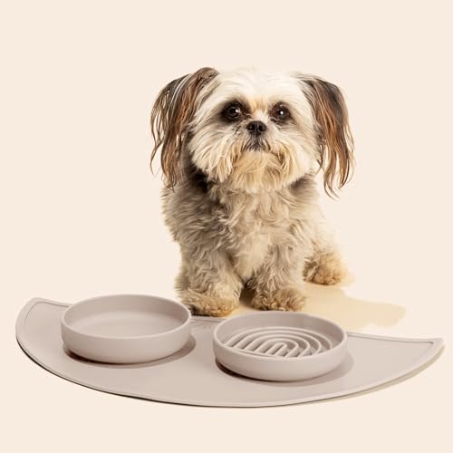Slow Feeder Dog Bowl (Tan - Rainbow Design / Small (6” Across x 1.25” Tall))