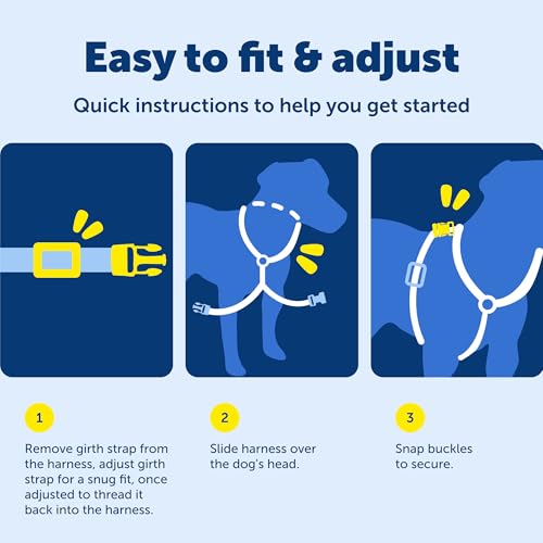 EasySport Dog Harness (Large / Black)