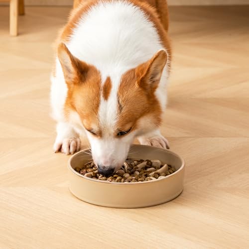 Ceramic Slow Feeder Dog Bowls (M-1.5 Cups / Brown)
