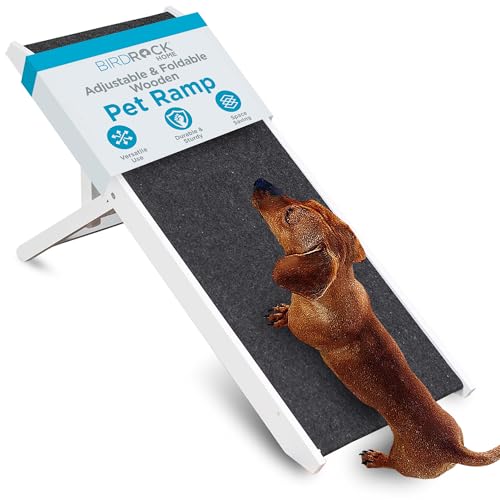 Adjustable Pet Ramp for Small Dogs (White - 16")