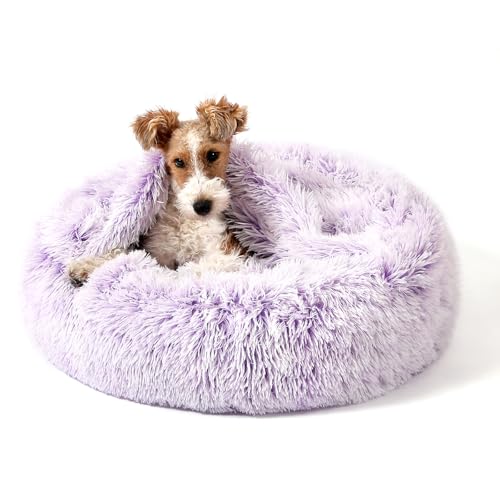 Calming Donut Dog Bed (Gradient Purple / Large 31.5''x31.5''x9'')