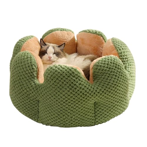 Cute Cat Beds Kitten Beds (Medium / Green)
