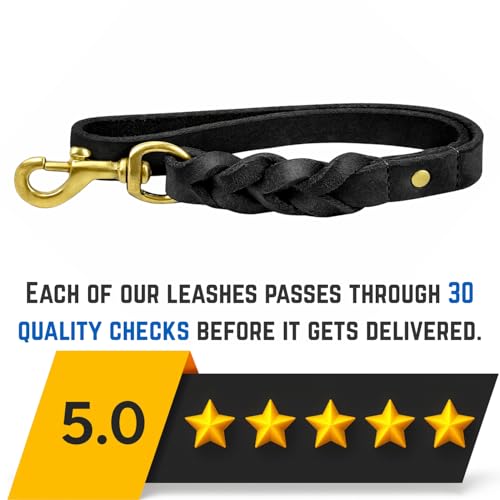 Leather 15 Inch Dog Leash Black (Black / 1 FT)