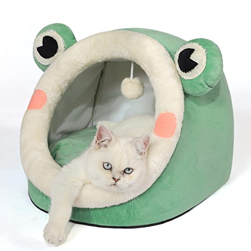 Cute Cat Bed Indoor Lovely Velvet Igloo for Cat and Small Dog (Medium / Green Frog)