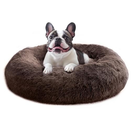 Calming Small Dog & Cat Bed for Indoor Cats (Chocolate / 20.0"L x 20.0"W x 6.0"Th)