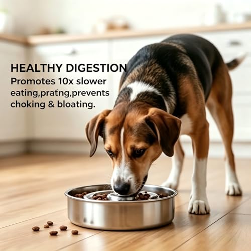 Slow Feeder Dog Bowl Stainless Steel (2 Cups/ 1.6" Deep (Max 4Cups))