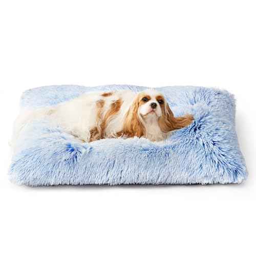 Fluffy Dog Crate Bed for Small Dogs (Blue / 23.5 x 17.5)