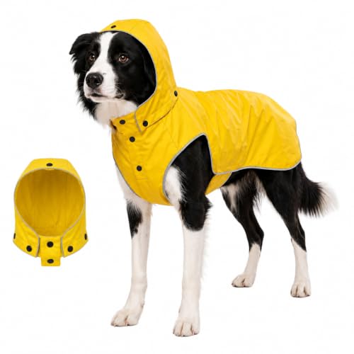 Dog Raincoat for Medium to Large Dogs (Large)